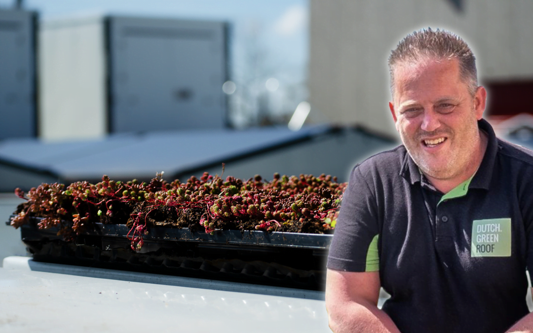 Dutch Greenroof – rendere il self-storage più verde